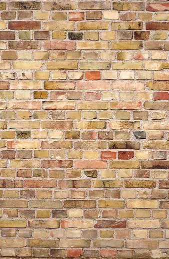 wall, bricks, white, white brick wall, texture, construction ...