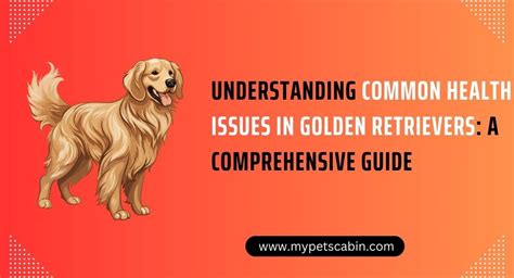 Understanding Common Health Issues in Golden Retrievers: A Comprehensive Guide