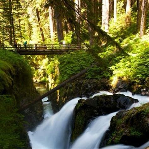 Bagby Natural Hot Springs, Estacada, Oregon USA | Bagby hot springs, Hiking places, Oregon ...