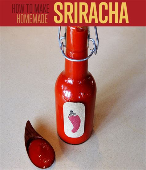 19 Best Homemade Hot Sauce Recipes