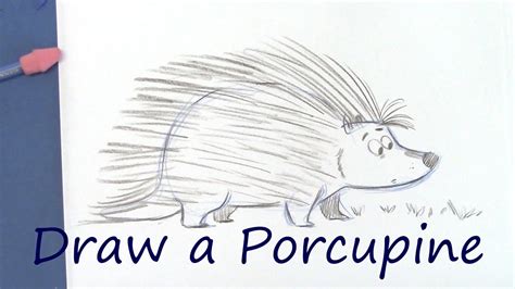 Draw a Cute Porcupine - Cartoon Animals for Beginners - YouTube