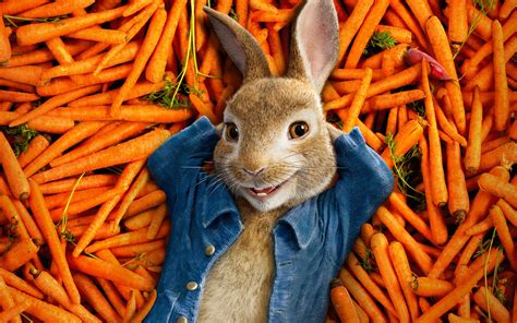 2560x1600 Resolution Peter Rabbit 2018 Movie Poster 2560x1600 ...