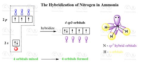 Hybridization of Atomic Orbitals - Chemistry Steps