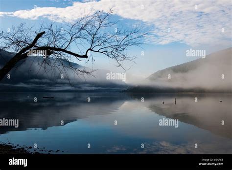 Cultus hi-res stock photography and images - Alamy