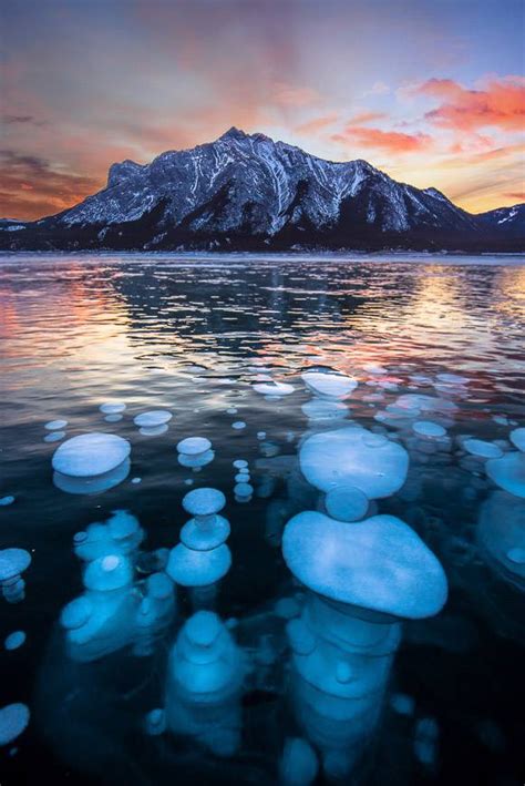 Abraham Lake Bubbles - A Guide to Visiting | Hike Bike Travel