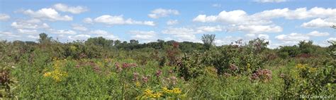 Wetland types | Wisconsin Wetlands Association