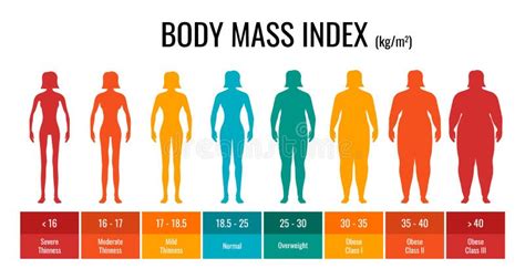 BMI Classification Chart Measurement Woman Set. Female Body Mass Index Infographic with Weight ...