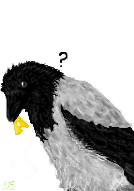 My pixel crow by crow559 on DeviantArt