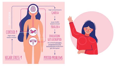 How Cortisol Affects Women's Health and the Menstrual Cycle | Elara Care