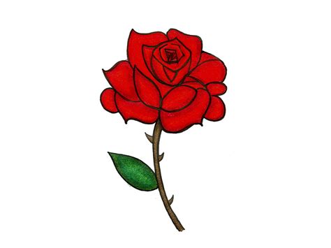 Rose Cartoon Drawing | Free download on ClipArtMag