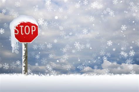 Snow Covered Stop Sign In The Snow Stock Illustration - Illustration of announcement ...