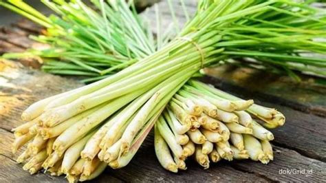 Uric acid rises again? Lemongrass infused water is effective in relieving your uric acid - World ...