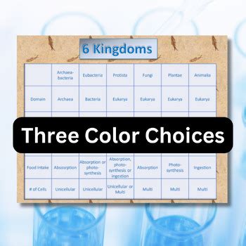 6 Kingdoms Chart by DrH Biology | Teachers Pay Teachers