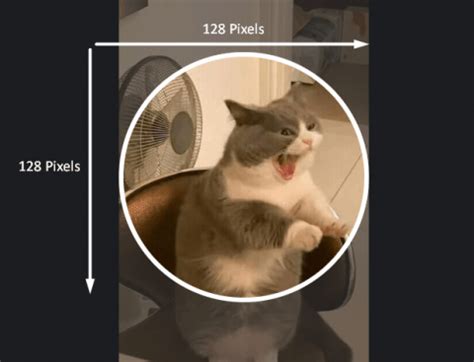 What is the Recommended Discord Profile Picture Size? [+Templates]