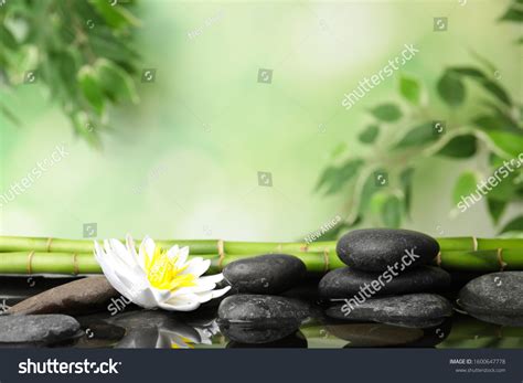 Beautiful Zen Garden Lotus Flower Pond Stock Photo 1600647778 ...