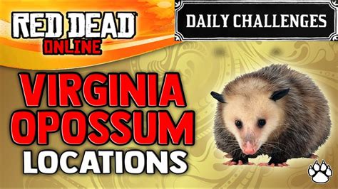 Red Dead Online - Virginia Opossum Locations - Daily Challenge - RDR2 ...