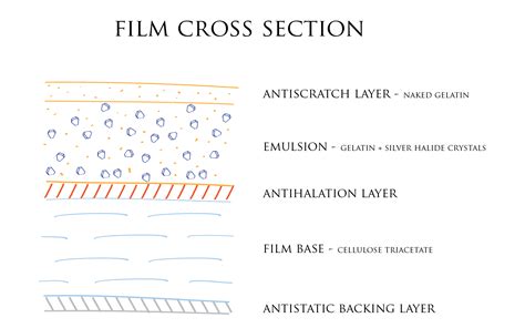 Film processing chemistry, how does it work? | Film Photography Blog