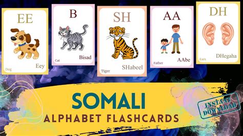 SOMALI Alphabet FLASHCARD With Picture, Learning SOMALI, Somali Letter ...