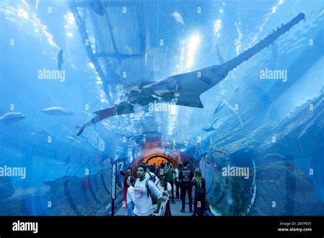 DUBAI, UNITED ARAB EMIRATES - NOVEMBER 21, 2019: Dubai Aquarium tunnel with people and tourists ...