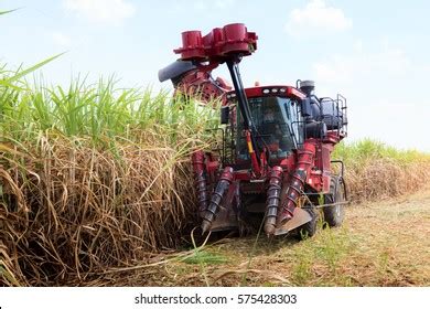 Sugarcane Harvester Machine Stock Photo 576694792 | Shutterstock