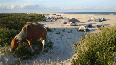 Beaches in Maryland | Summertime is Beach Time in Maryland | Visit Maryland