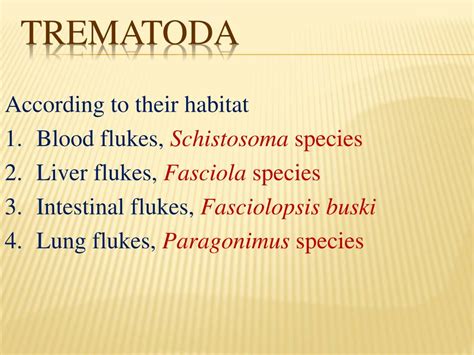 PPT - Class: Trematodes (flukes) PowerPoint Presentation - ID:651765