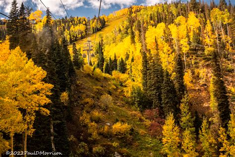 On the Telluride Gondola on Behance