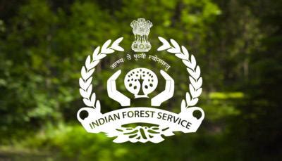 How to Become a Indian Forest Service (IFS) Officer - Courses, Exam ...