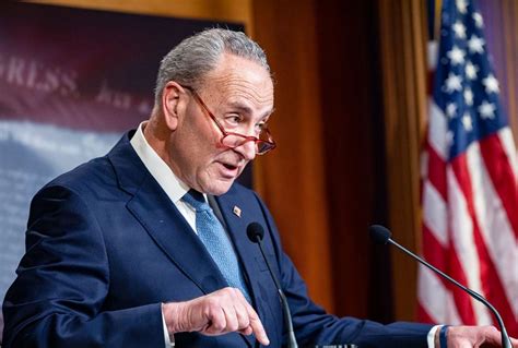 Chuck Schumer supports Nancy Pelosi's decision to delay sending ...