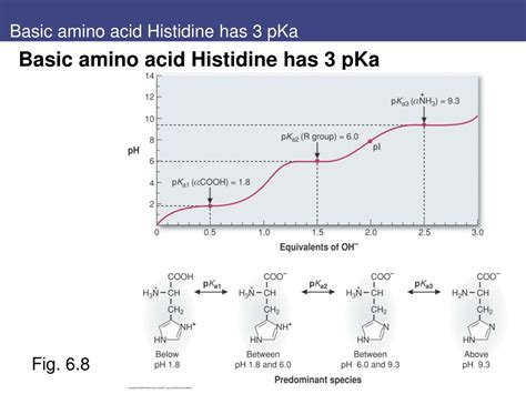 PPT - Chapt. 6-7 Amino Acids and Proteins PowerPoint Presentation, free download - ID:880631