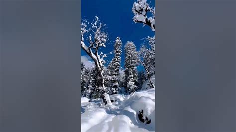 Himalaya Snowfall - YouTube