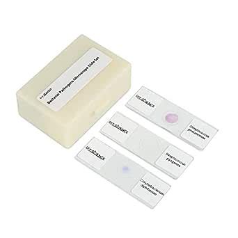 Prepared Bacterial Pathogens Microscope Slide Set, 12pcs Demonstrates The Bacteria Pathogens ...