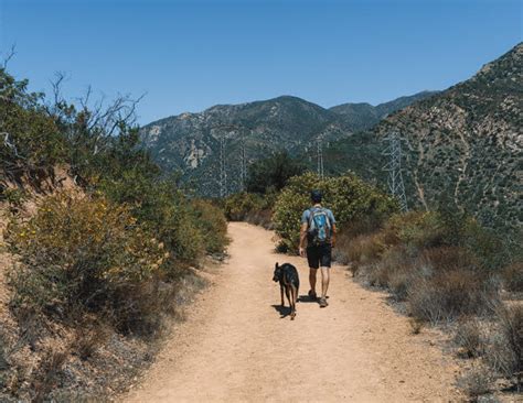 How To Hike The Cold Spring Trail Loop In Santa Barbara