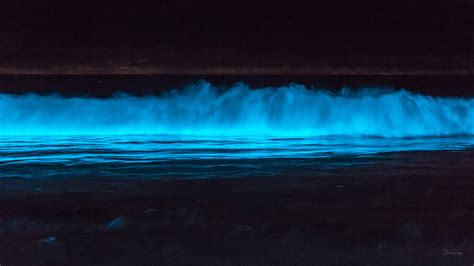 Bioluminescence Photography Tips | Canon Australia