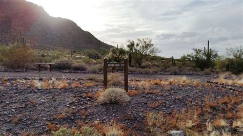 Picacho Peak State Park Campground | CampgroundViews.com