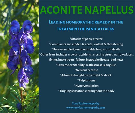 Aconite — Tony Fox Homeopathy