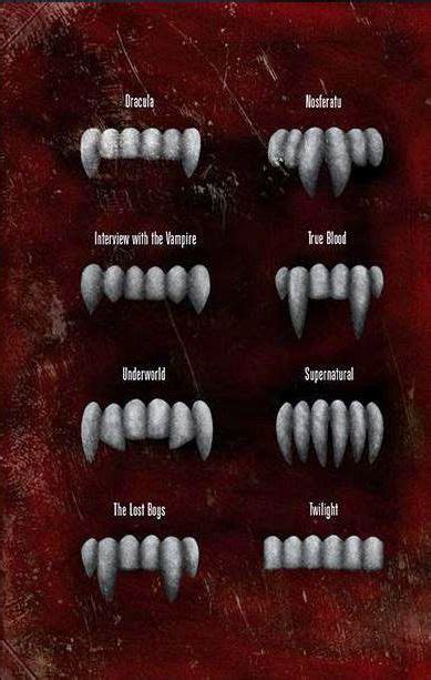 Different types of vampire fangs. | Vampire teeth, Vampire fangs, Vampire drawings