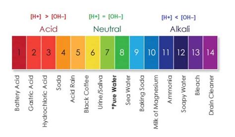 pH Scale - Pure Kopi Luwak