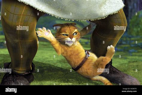 SHREK 2, Shrek, Puss-in-Boots, 2004, (c) DreamWorks/courtesy Everett ...