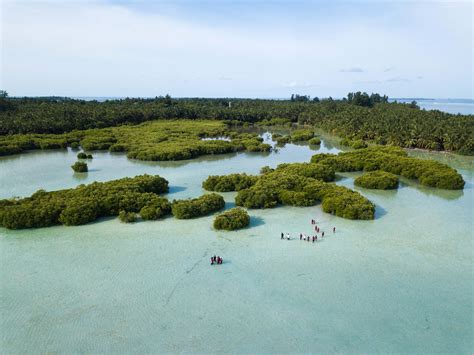 Mangrove Forests — MUI By Six Senses Laamu