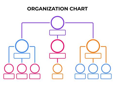 the organization chart is shown in different colors