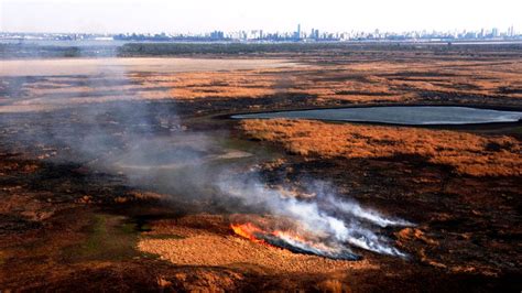 Drought and wildfires devastating South America's wetlands and forests ...