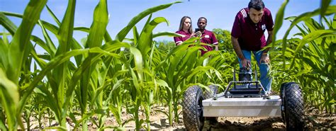 Agricultural Science | College of Agriculture and Life Sciences | Mississippi State University