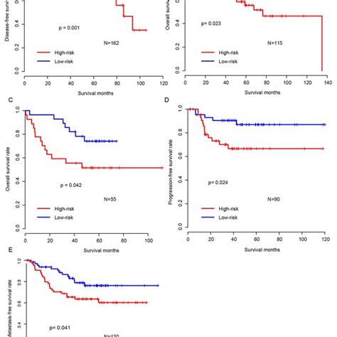 The survival rate of patients with radiation therapy. The survival of ...