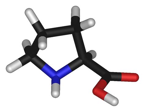 Proline - wikidoc