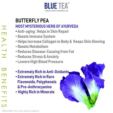 17 Incredible Blue Butterfly Pea Flower Tea Health Benefits - TeaFame