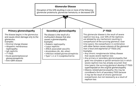 Figure 1 from Differential Diagnosis of Glomerular Disease: A ...