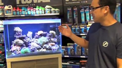 9 TIPS FOR SETTING UP A REEF AQUARIUM - Fluval Aquatics UK