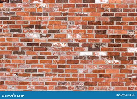 Old Red Brick Wall Stock Images - Image: 560834