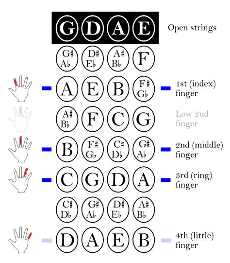 Violin - Wikipedia, the free encyclopedia | Violin fingering chart, Violin lessons, Learn violin